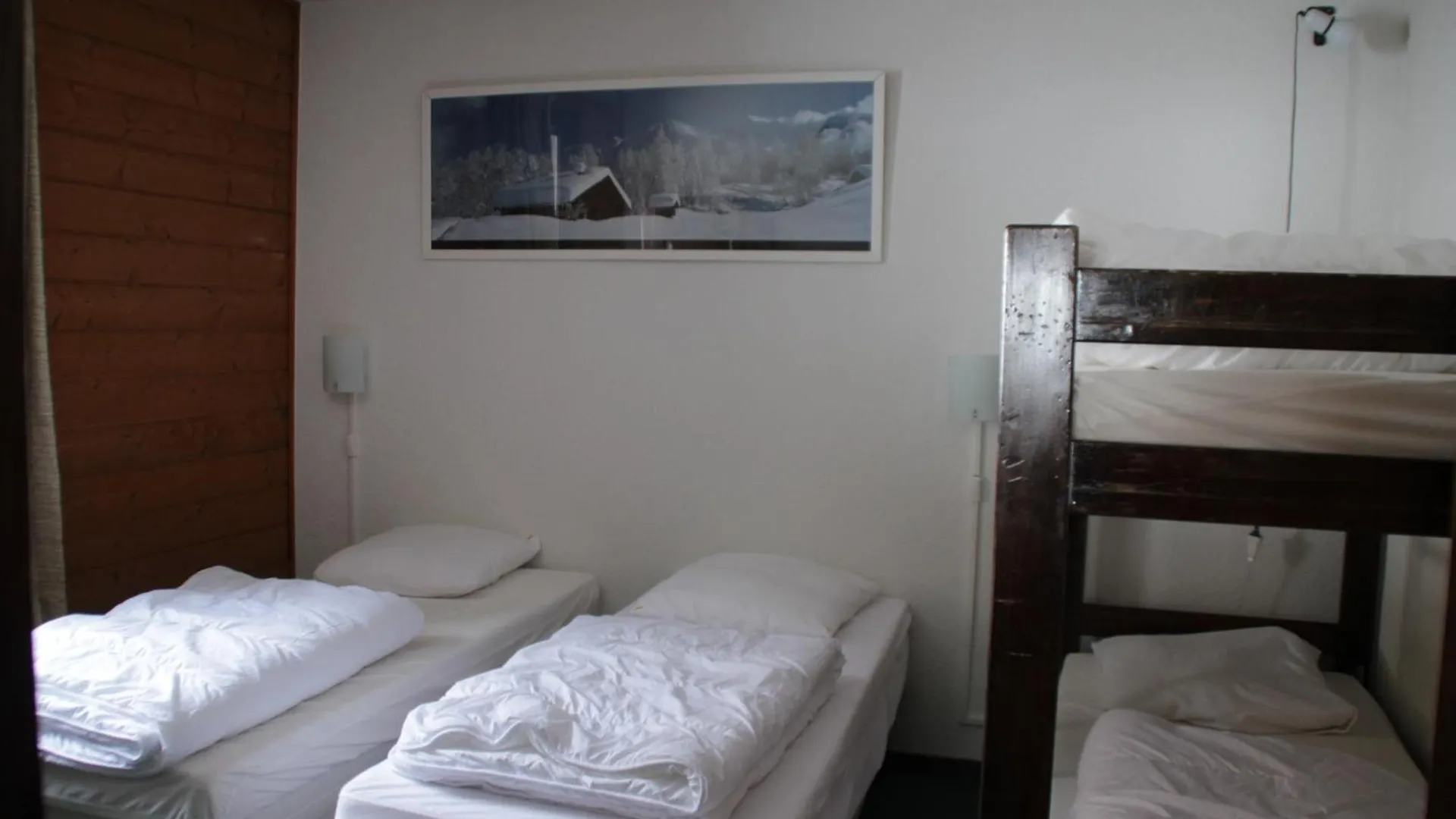 Moulin Ml149 Mountain & Telecabine 6 Pers Chatel Apartment